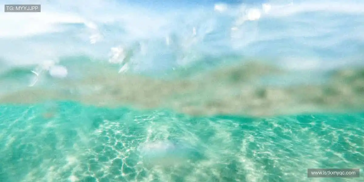 📱 实时互动，畅聊赛事！💬