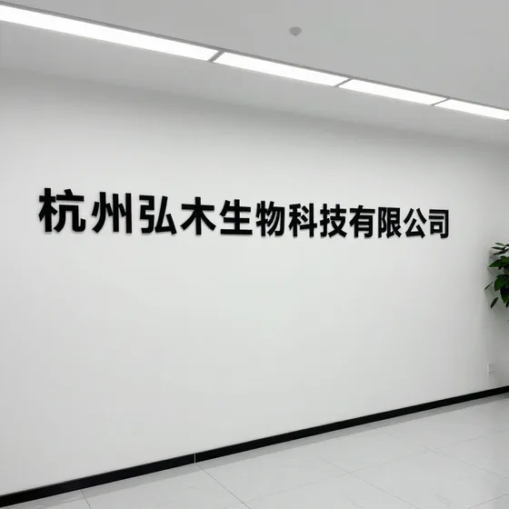 东莞新能源汽车租赁